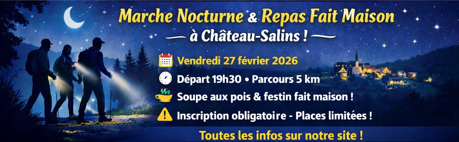 Amicale des Sports et Loisirs Castelsalinois